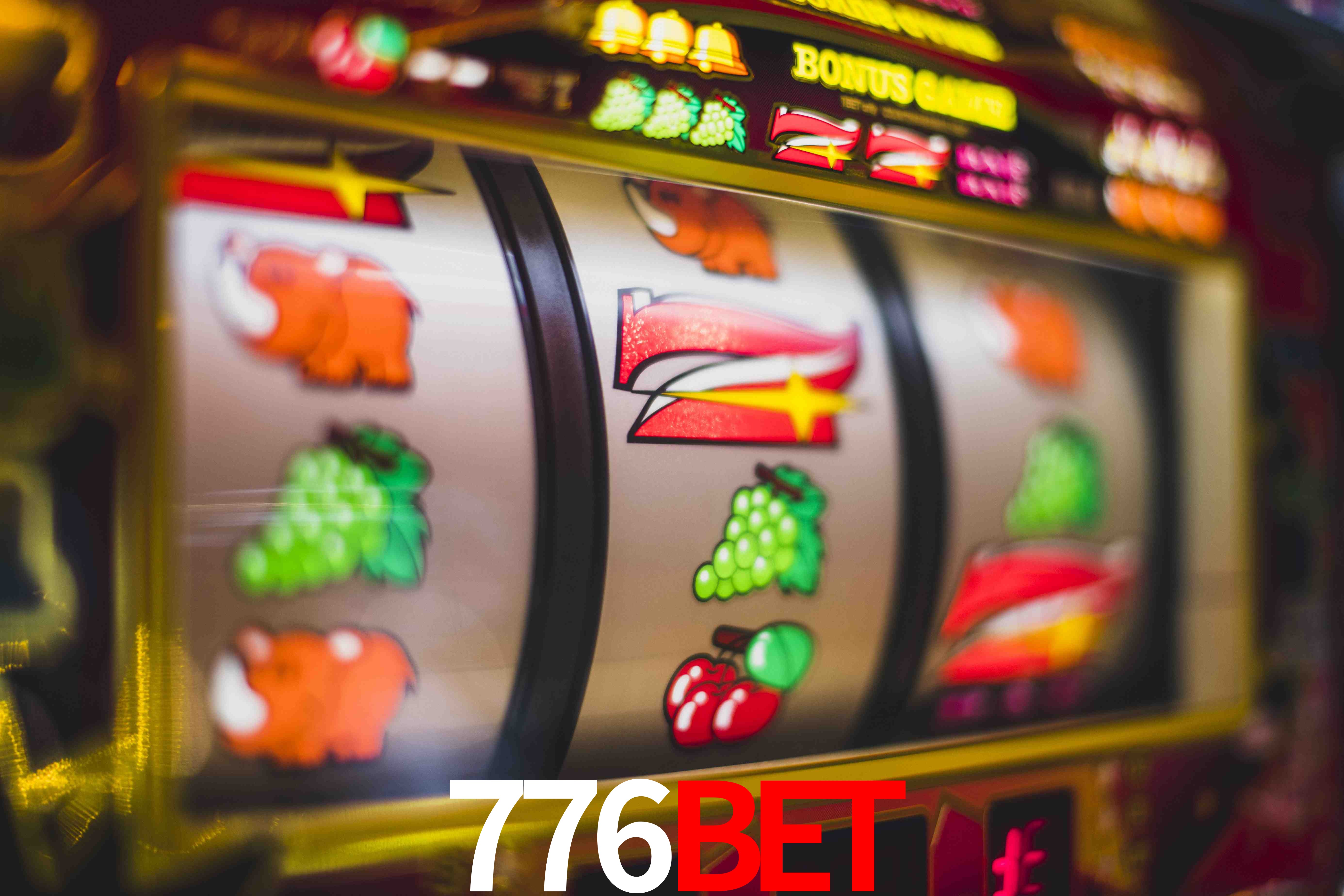 Statistics 776bet
