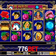 776bet Rio de Janeiro - Bonus Terms